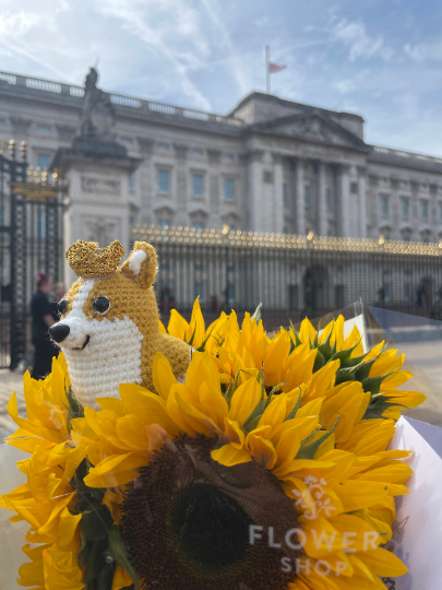 Crochet Corgi with Crown Pattern - English Pattern - US abbreviation- Youtube Video