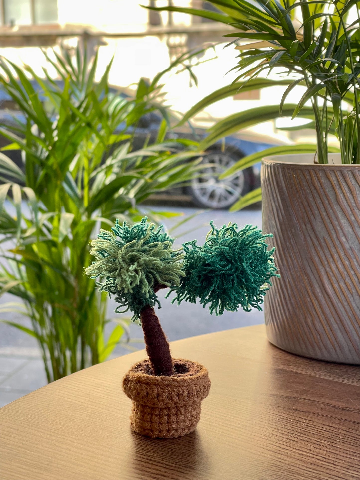 Handmade Crochet Potted Plant with Terracotta Pot | Cute and Colorful Decor | Comes in a Lovely Gift Box!