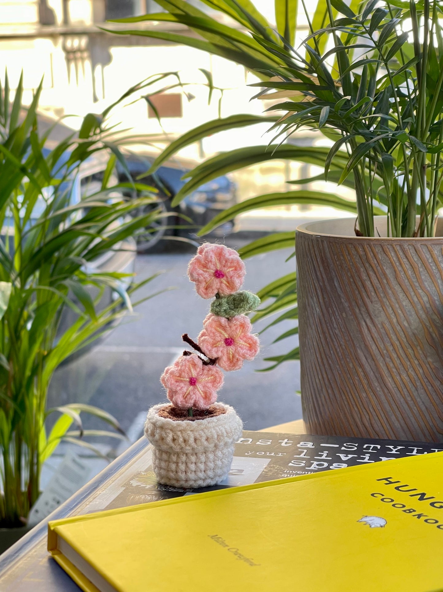 Handmade Crochet Potted Plant with Terracotta Pot | Cute and Colorful Decor | Comes in a Lovely Gift Box!