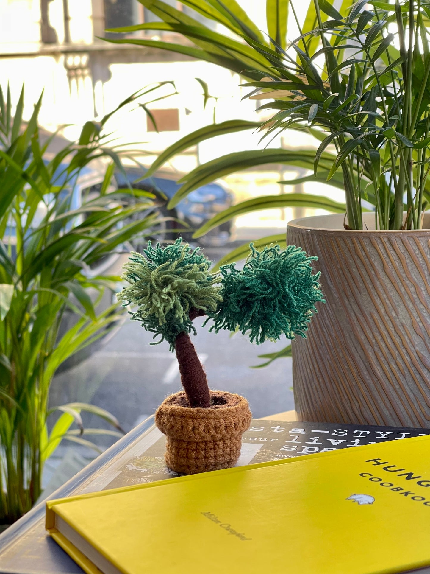 Handmade Crochet Potted Plant with Terracotta Pot | Cute and Colorful Decor | Comes in a Lovely Gift Box!