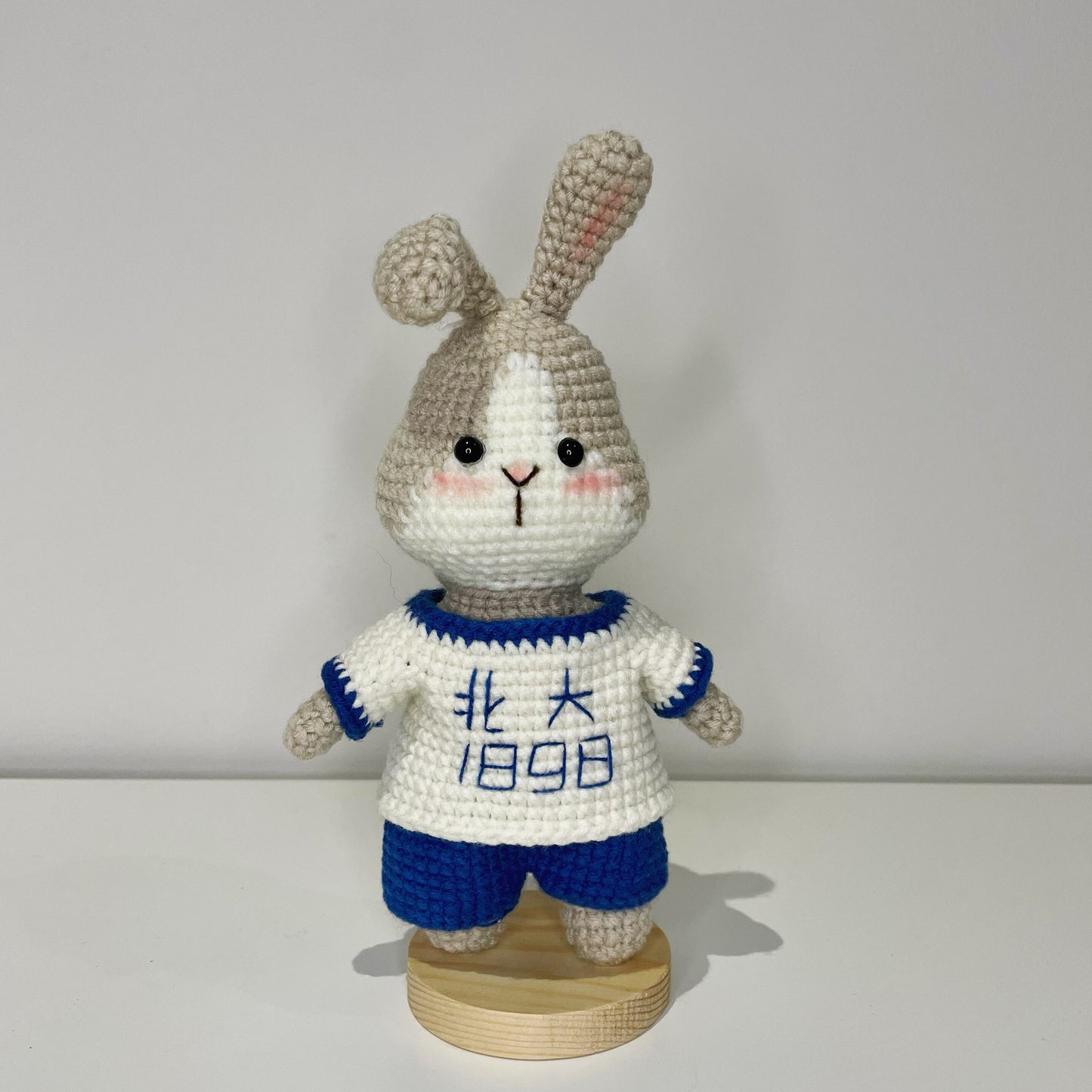 Handmade Crochet Bunny - Perfect Year of the Rabbit Gift, Made with Milk Cotton Yarn