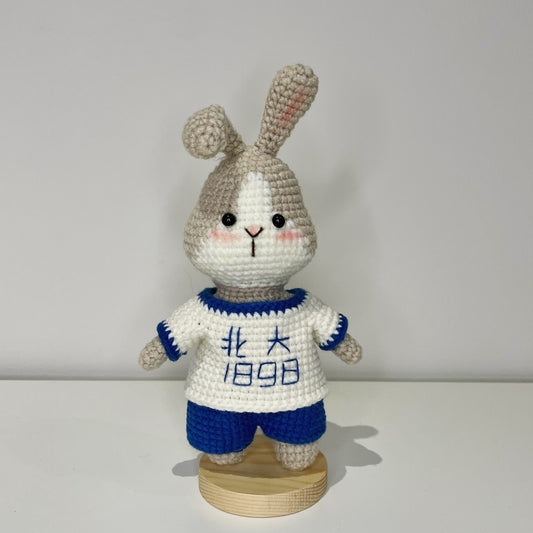 Handmade Crochet Bunny - Perfect Year of the Rabbit Gift, Made with Milk Cotton Yarn