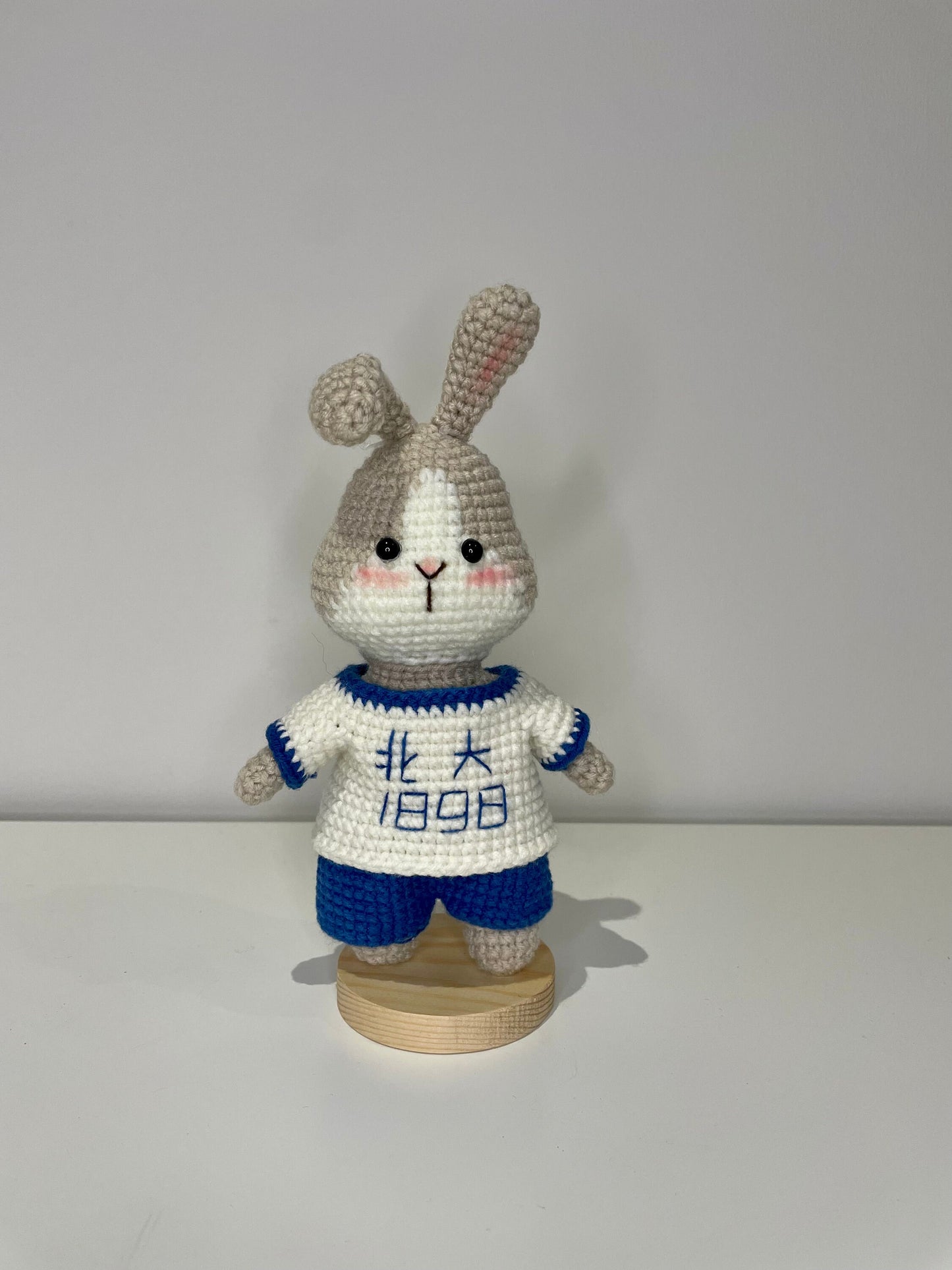 Handmade Crochet Bunny - Perfect Year of the Rabbit Gift, Made with Milk Cotton Yarn